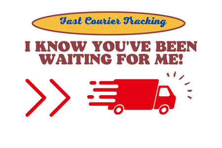 Fast Courier Tracking